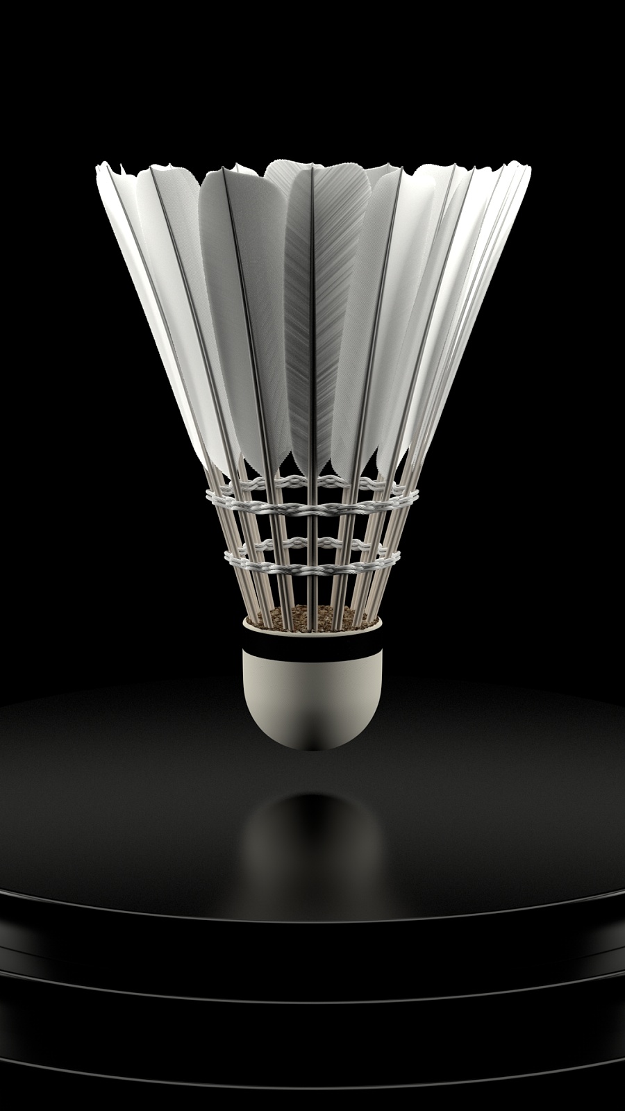 青岛海滨1 青岛海滨1